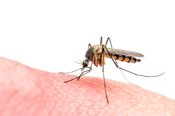 Câmara aprova benefícios vitalícios e indenização para pessoas com deficiência associada ao Zika Vírus