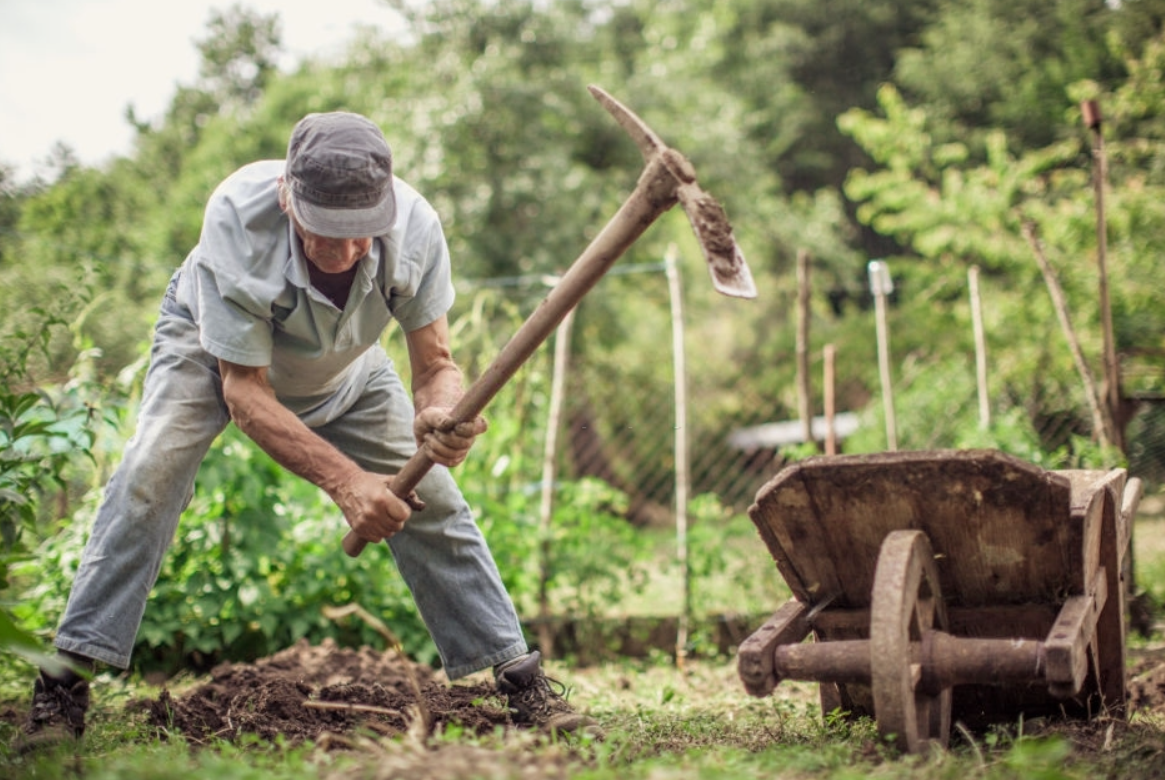 Trabalhadores do setor rural podem solicitar o empréstimo consignado CLT?