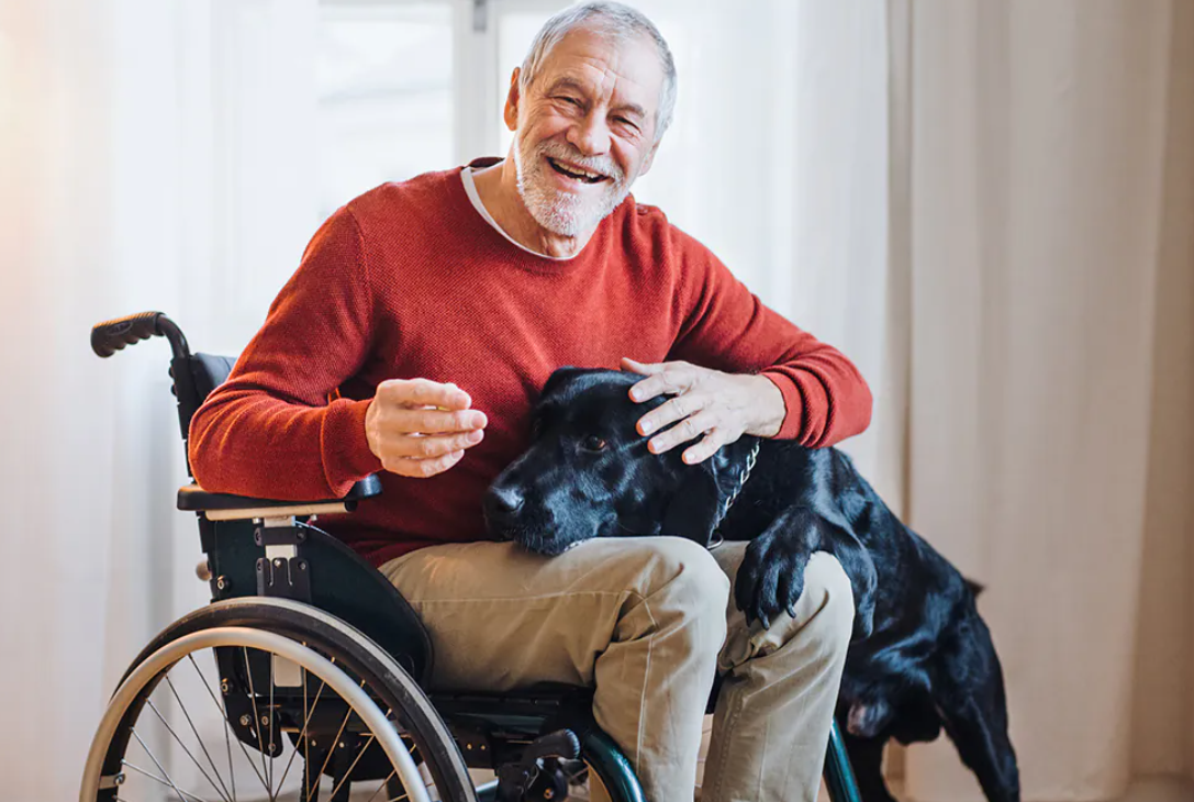 A importância do laudo médico para a concessão da pensão por invalidez