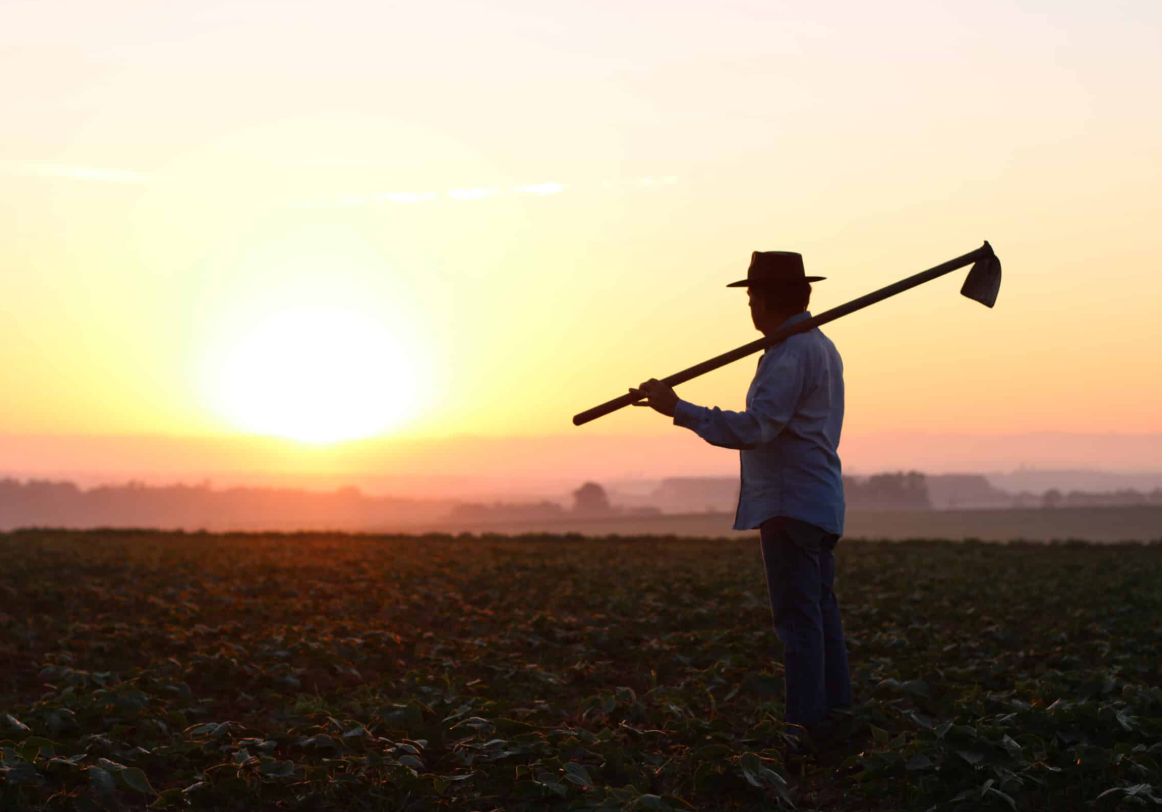 Aposentadoria rural: Quem tem direito e como comprovar a atividade?