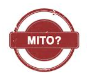 Os 5 mitos sobre empréstimo com garantia de veículo que você precisa conhecer
