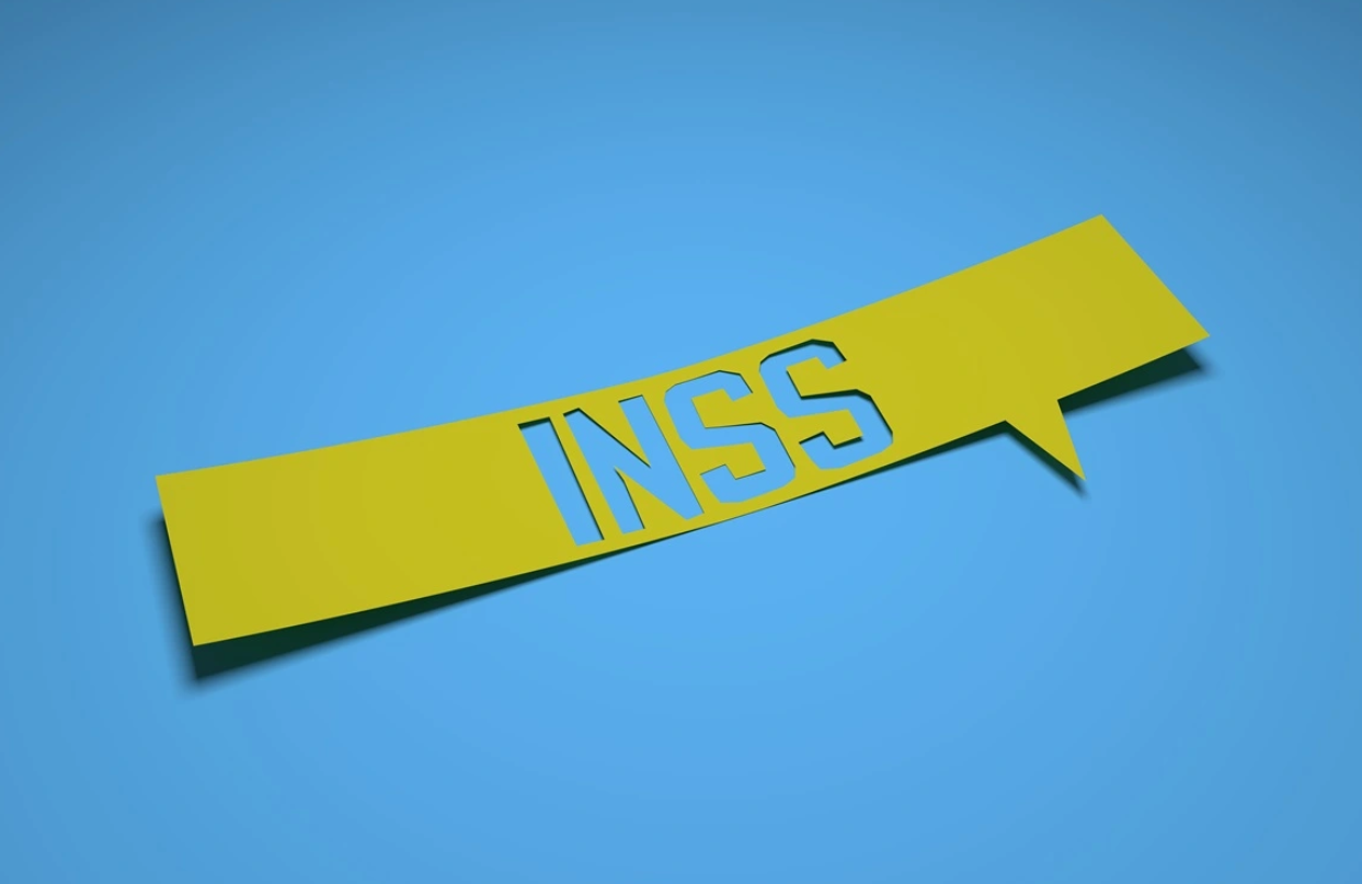 IN 100 do INSS: O que é e como funciona